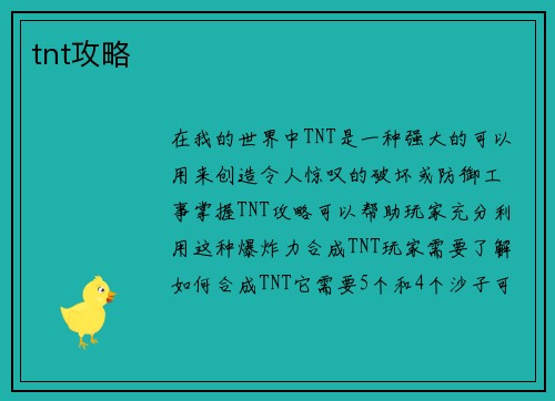 tnt攻略