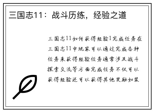 三国志11：战斗历练，经验之道